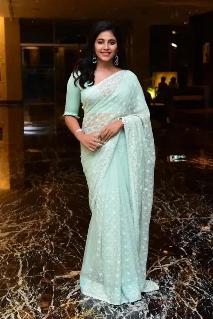 SOUTH INDIAN ACTRESS ANJALI STILLS IN TRADITIONAL LIGHT GREEN SAREE 5